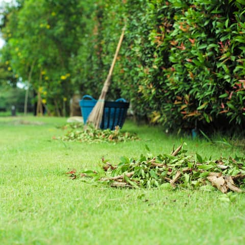 Full Landscaping Cleanup