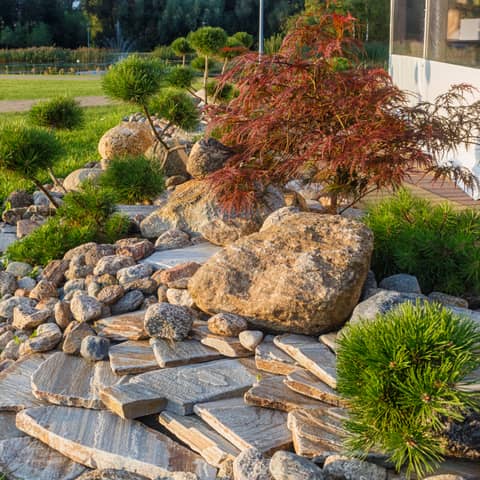 Hardscape